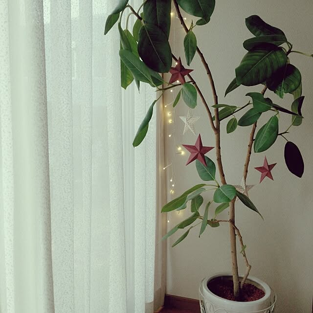 Mi-koさんの実例写真