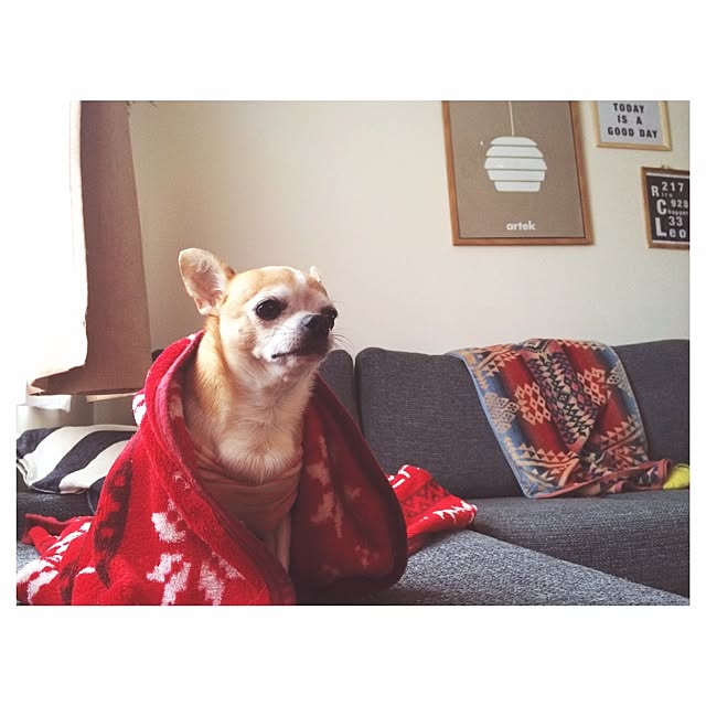 akiyoさんの実例写真