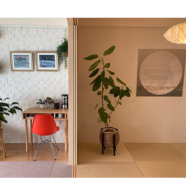 marukoさんの部屋