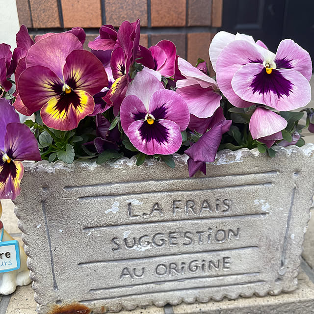 chikaさんの部屋