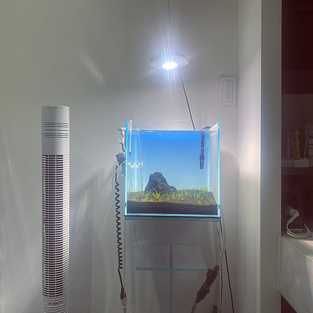 ailedange1117さんの部屋