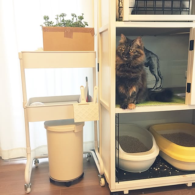 猫舎別荘 上下運動でストレス解消 キャットケージ 超ビッグ 3段 猫舎別荘 上下運動でストレス解消 キャットケージ 超ビッグ 3段