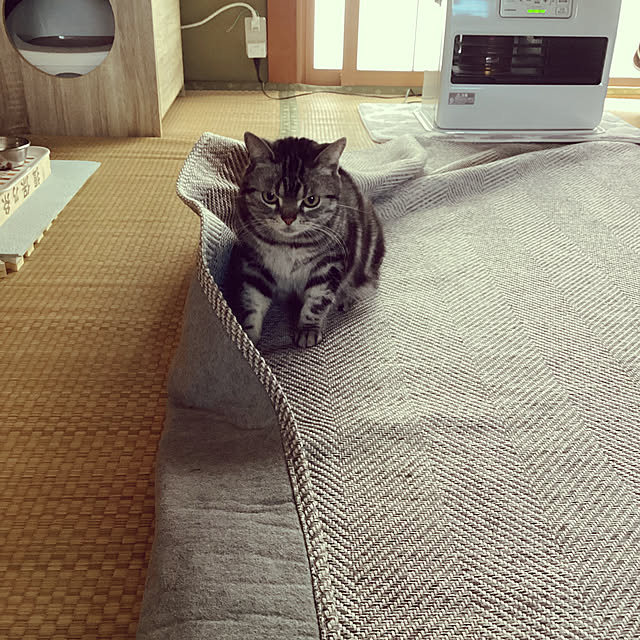 richanさんの実例写真