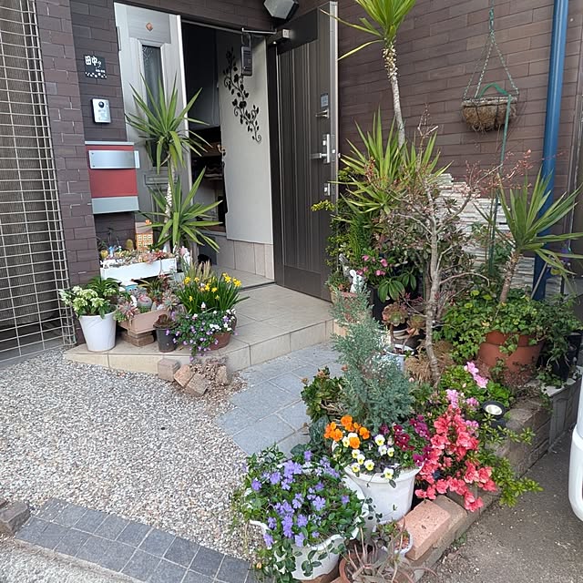 Yoshie1911さんの部屋