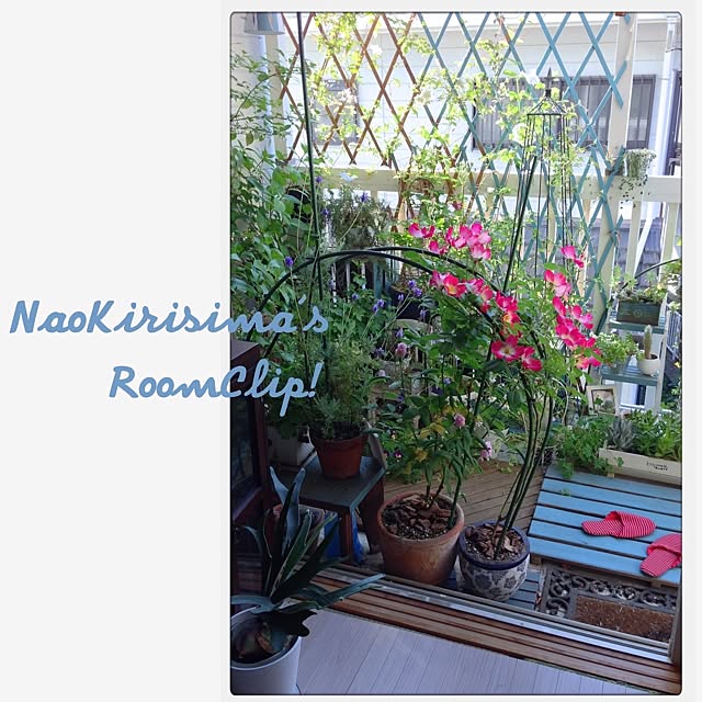 naokirisimaさんの実例写真