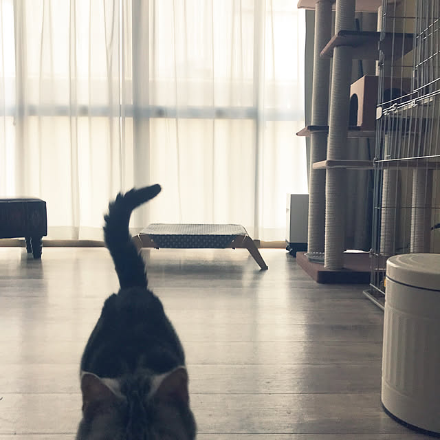 jukai8153さんの実例写真