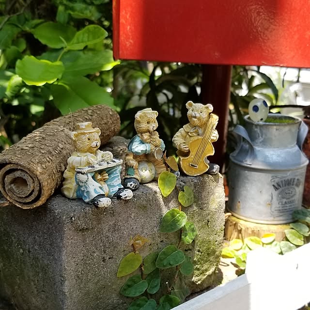 midoriさんの部屋