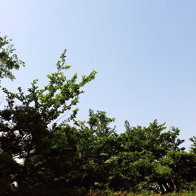 bamuさんの実例写真