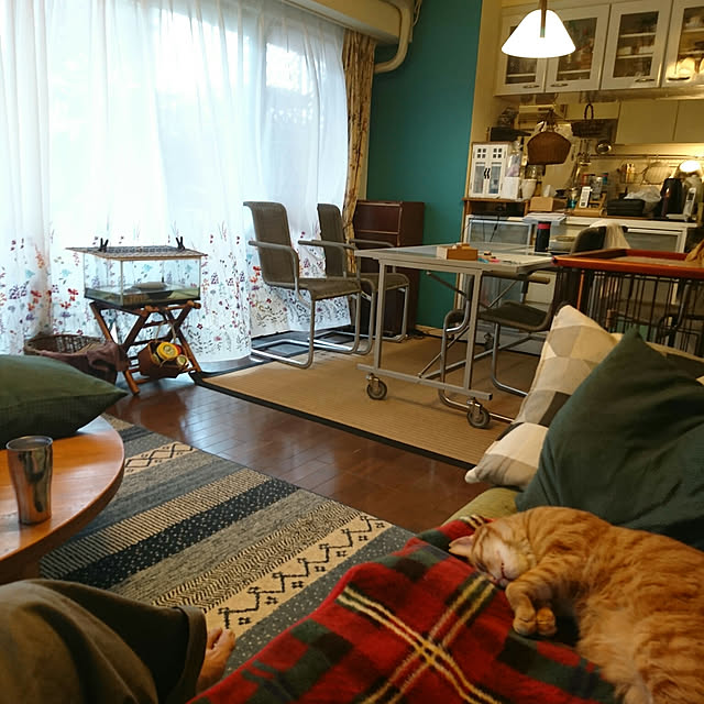 okyosan101さんの実例写真
