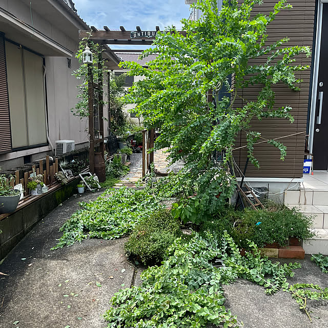 mayumiさんの部屋
