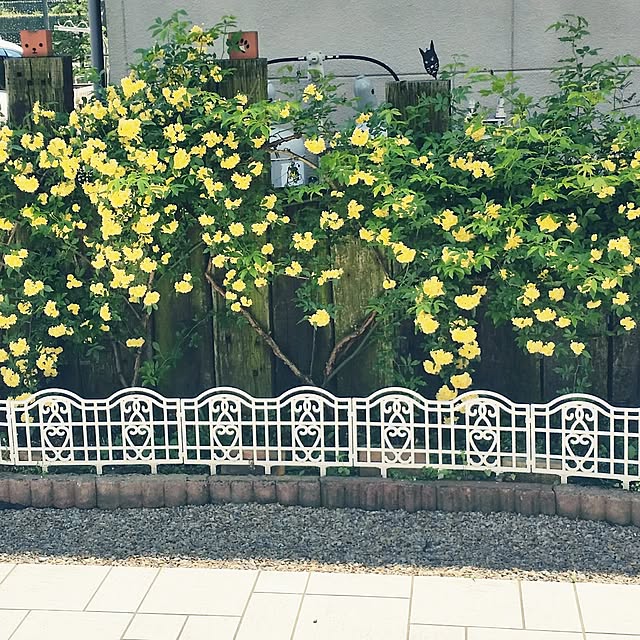 kojikenさんの実例写真