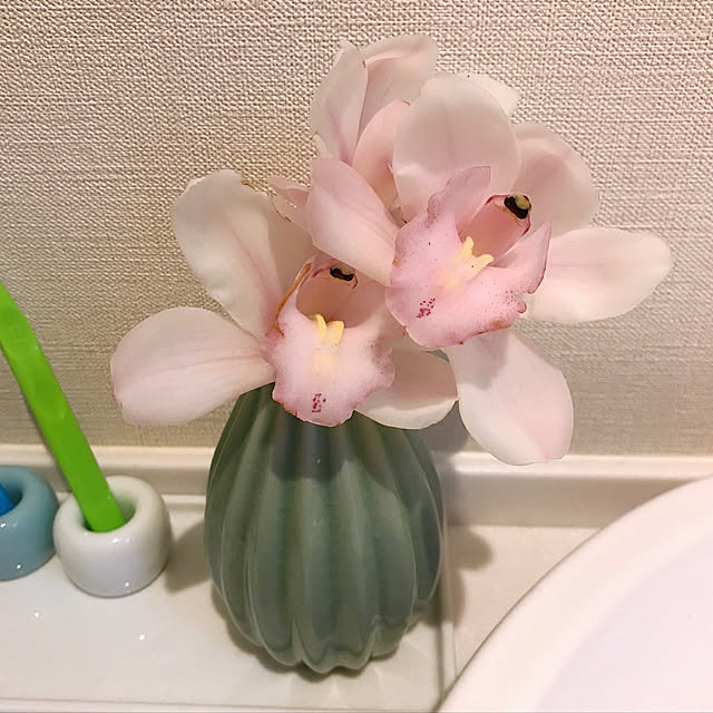 springbreezeさんの実例写真