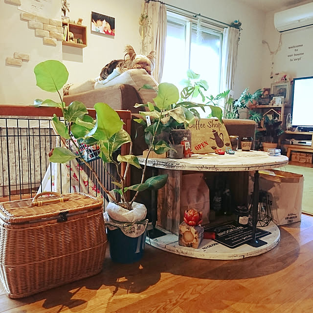 akiさんの実例写真