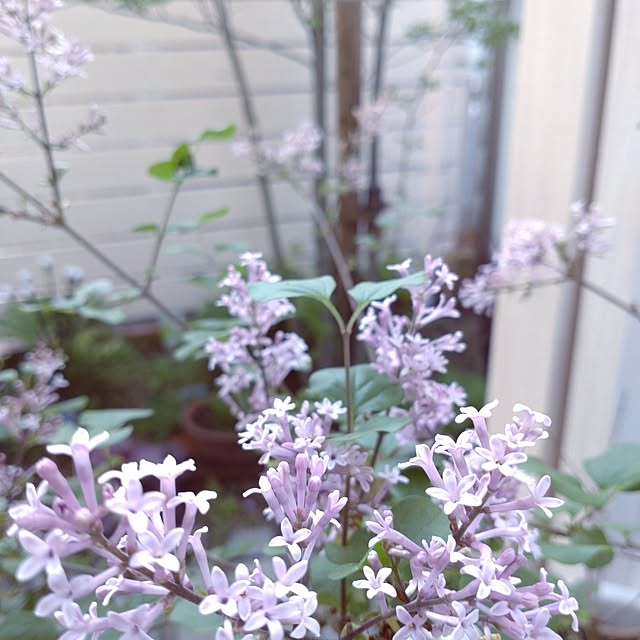 Bienvenueさんの実例写真