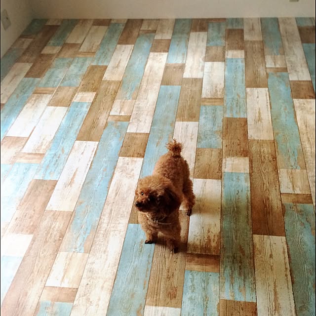 kimuさんの実例写真