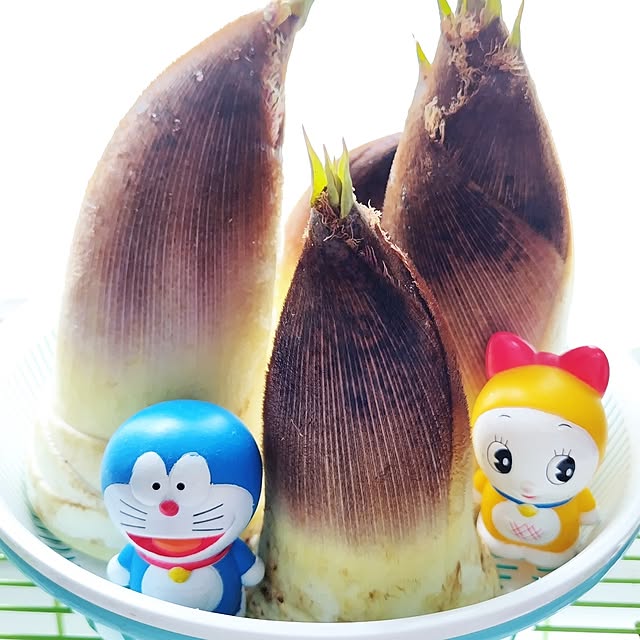 katさんの実例写真