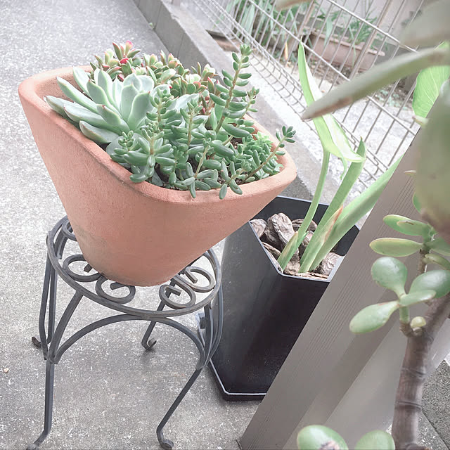 RoCoさんの実例写真