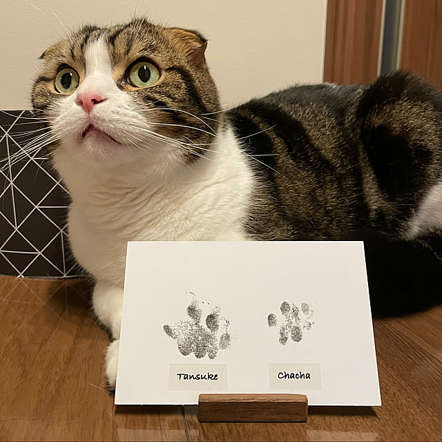 tansukeさんの実例写真