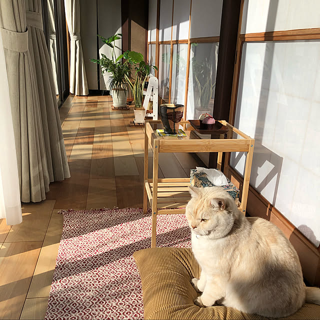 korochiruさんの実例写真