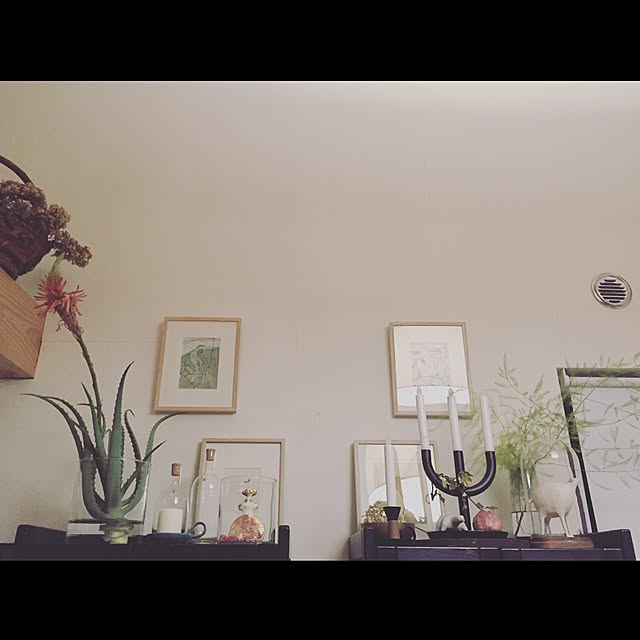 mohayaeteさんの実例写真