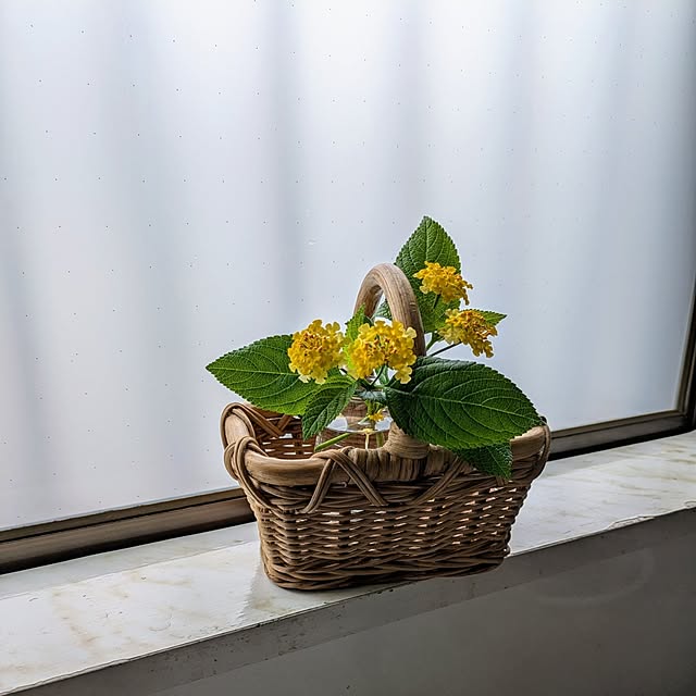 Renさんの実例写真