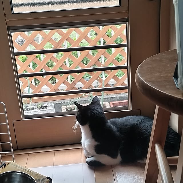 yakinikuさんの部屋