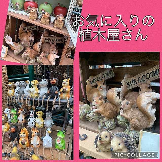 Aqettyさんの部屋