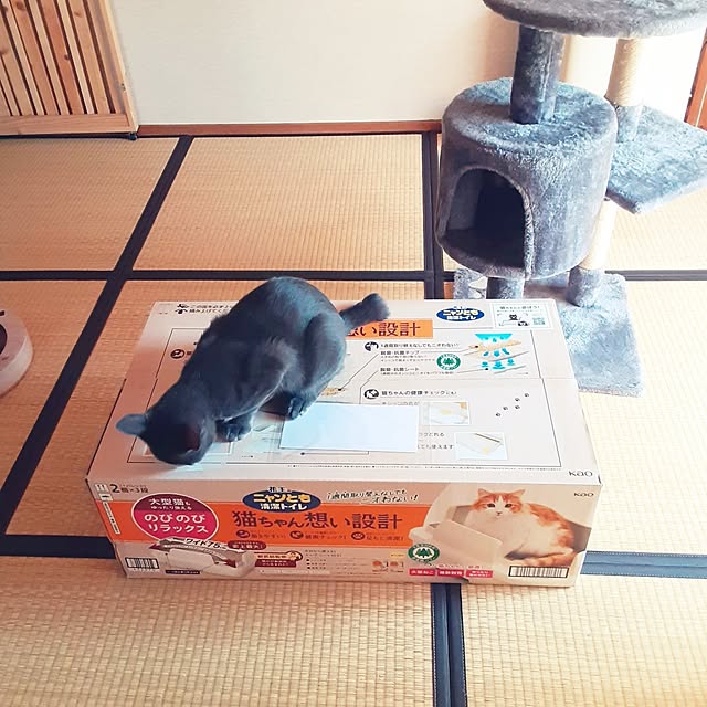 meguさんの部屋