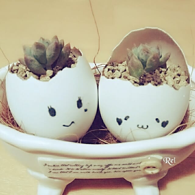 Reiさんの実例写真