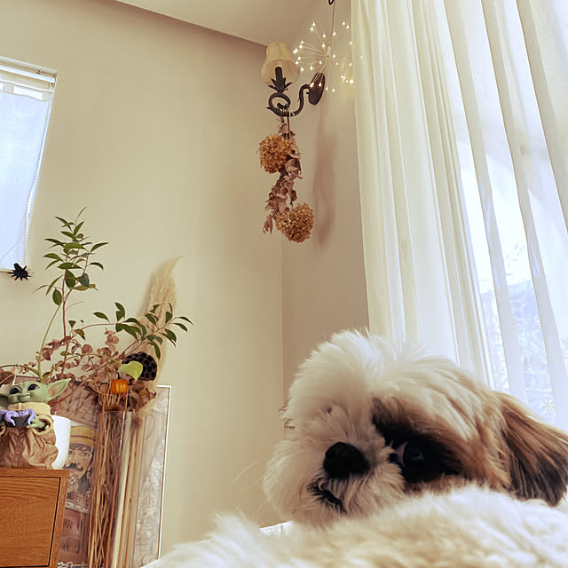 yuriさんの実例写真