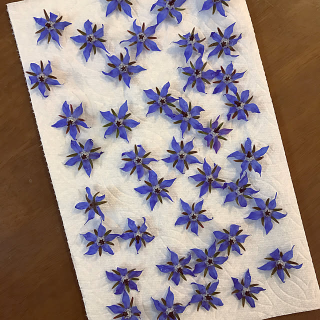 ayomoyuさんの実例写真