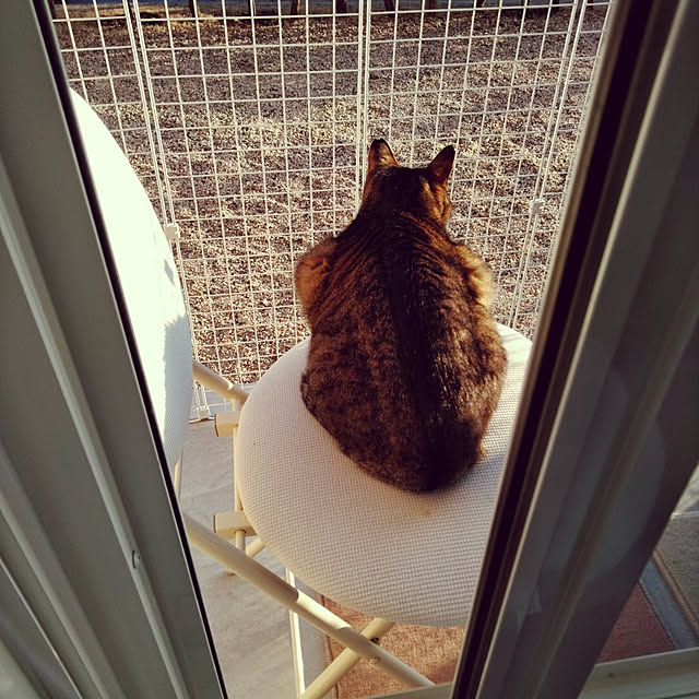 lilyさんの実例写真