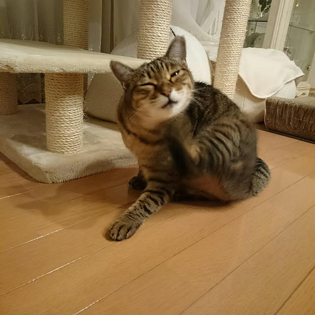 lilyさんの実例写真