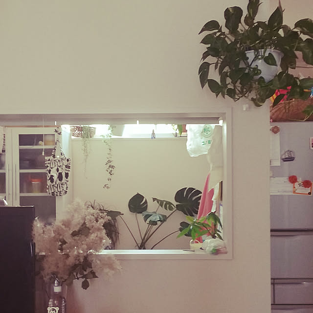 melonさんの実例写真