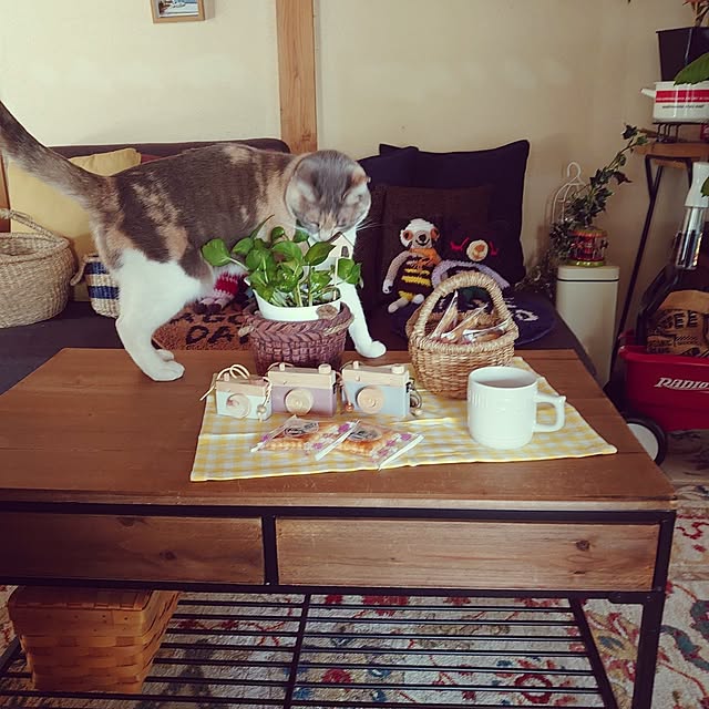 fukuさんの実例写真
