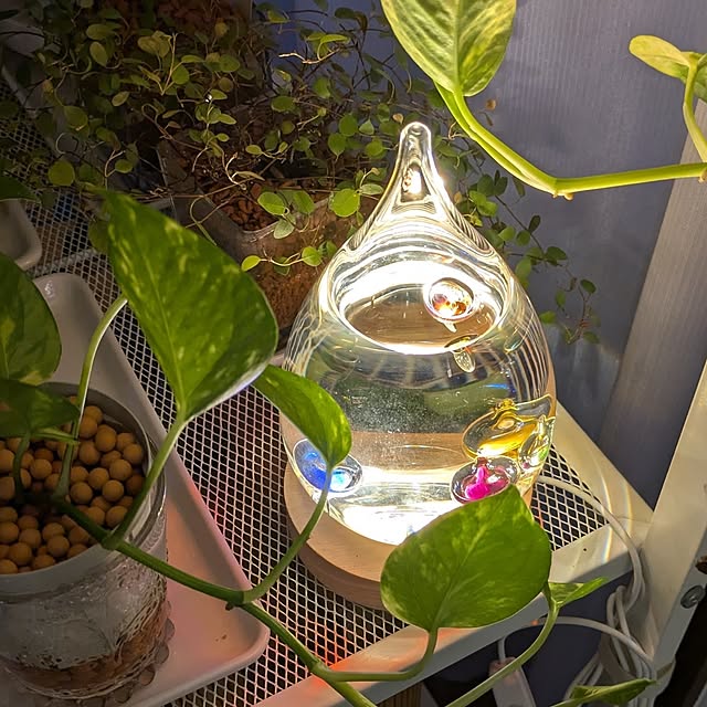 mi-saさんの部屋