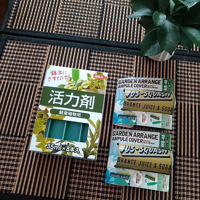 nippopoさんの部屋