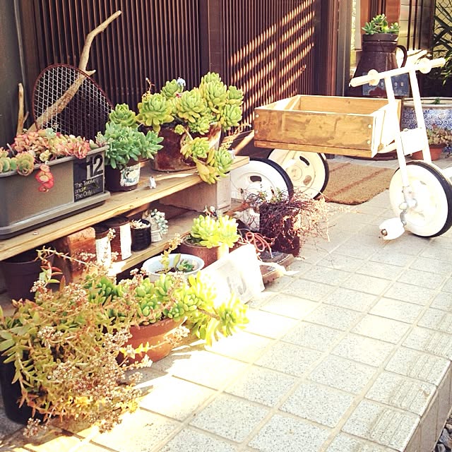 botanさんの実例写真