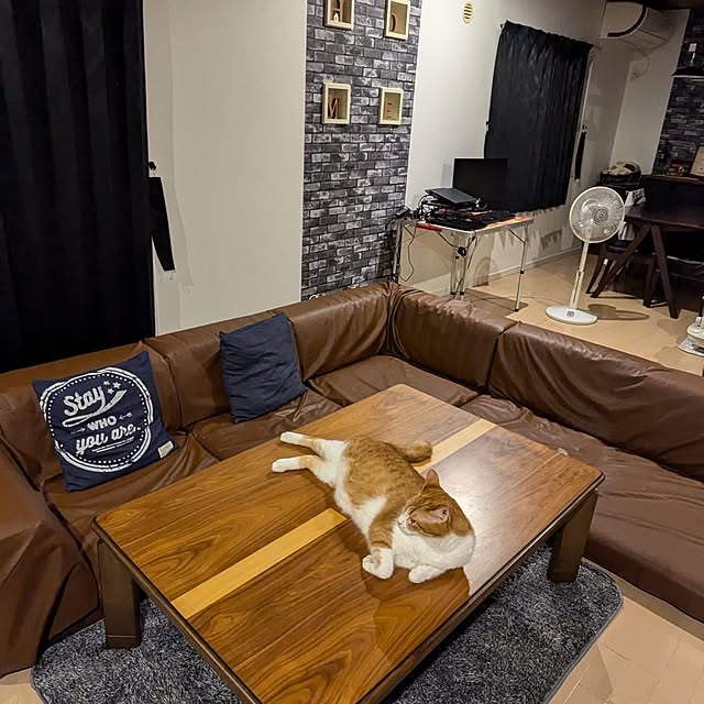 部屋全体/ブルックリンスタイル/ねこ好きさん集まれ/無言フォロー大歓迎！/RCの出会いに感謝♡...などのインテリア実例 - 2024-07-01 22:44:46