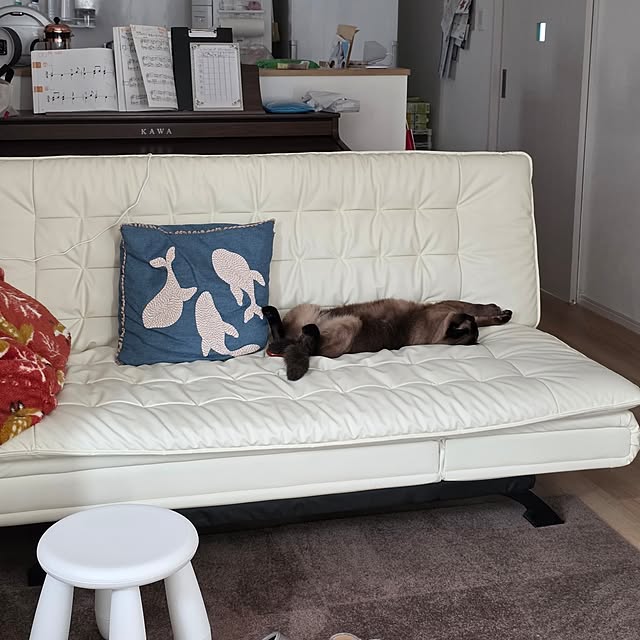maomaoさんの部屋