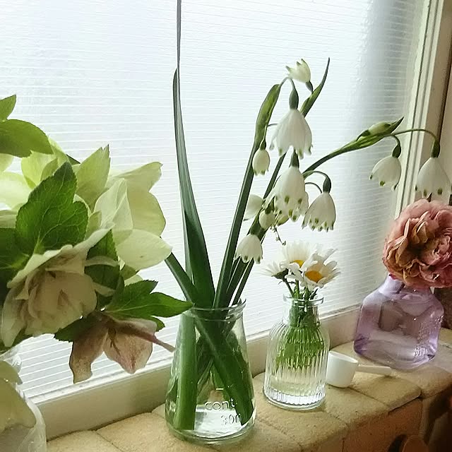 naopyiさんの実例写真