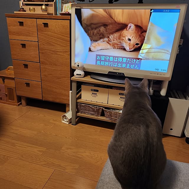 yukiさんの部屋
