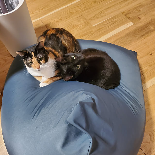 Micさんの実例写真