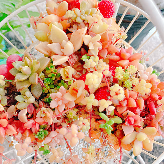Hanakaさんの実例写真
