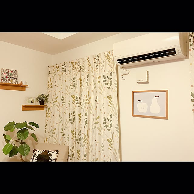 asukaさんの実例写真