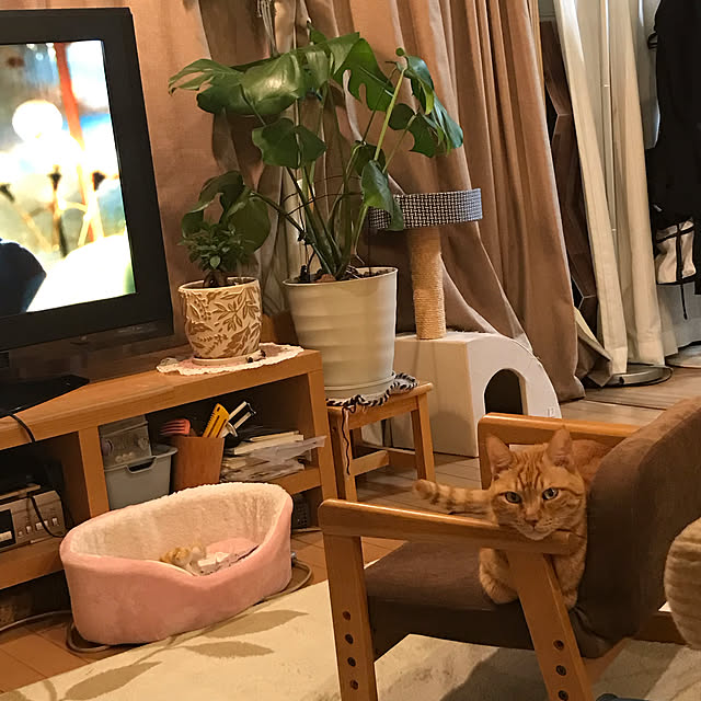 kou-kitiさんの実例写真