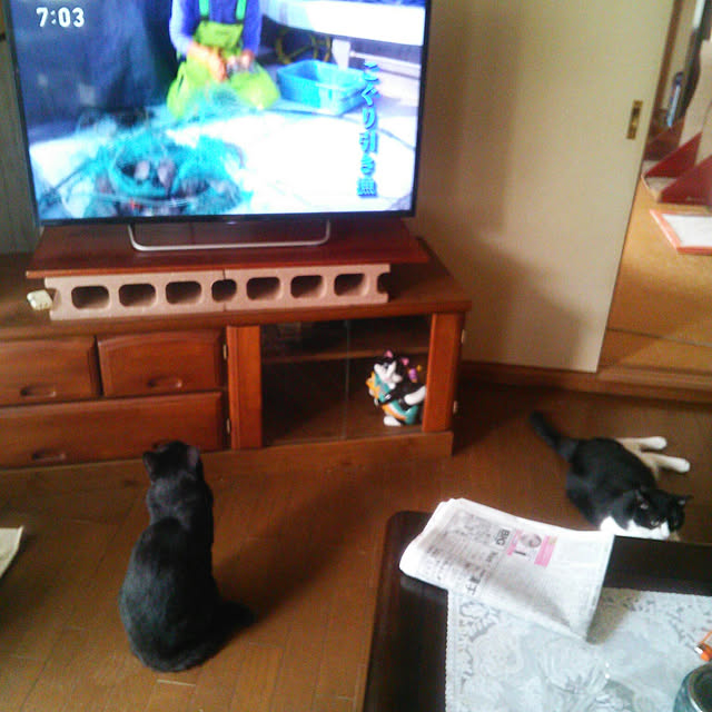 Tomopさんの実例写真