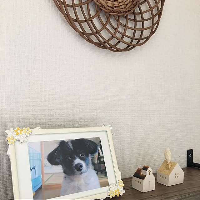 asamamaさんの実例写真