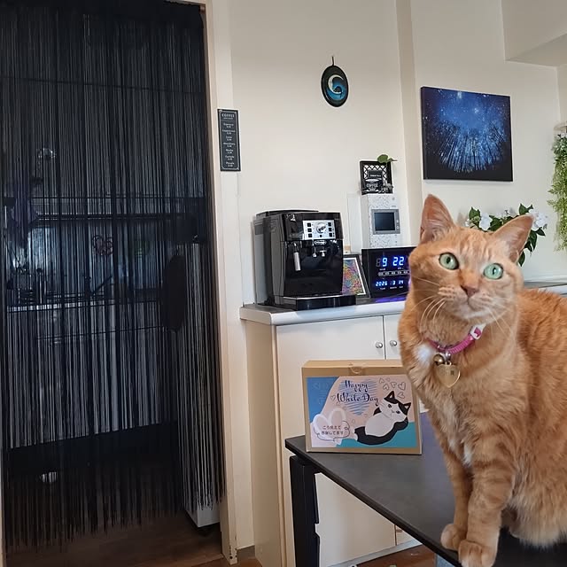 NOAHさんの実例写真