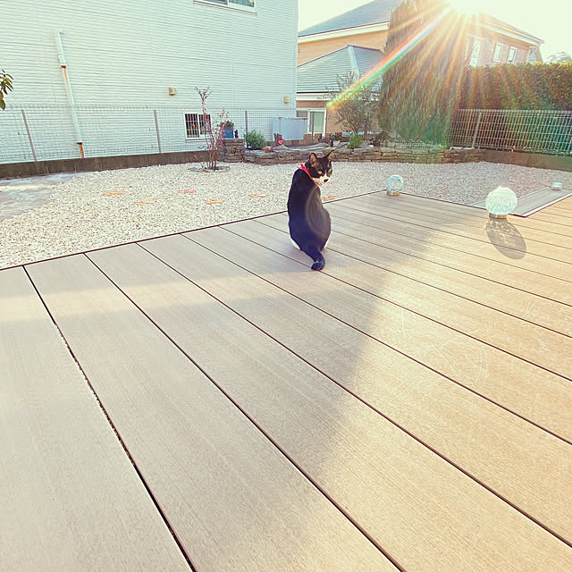 moolさんの実例写真